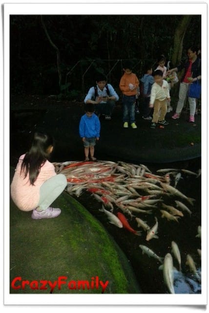 ├ 家族賞螢去 ┤牛伯伯生態園區