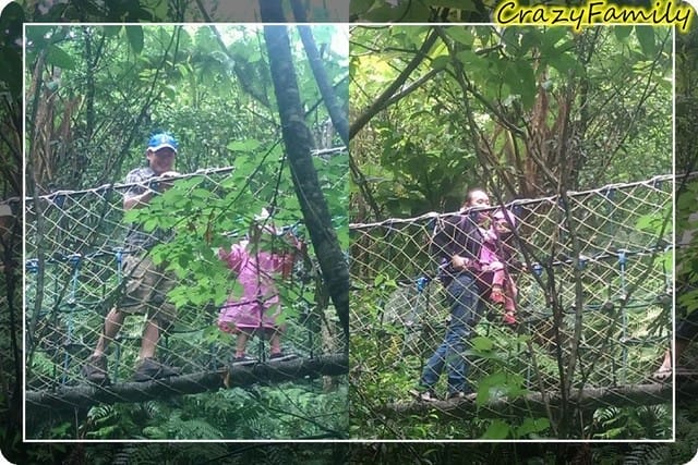 ├ 家族趴趴走 ┤土城桐花公園