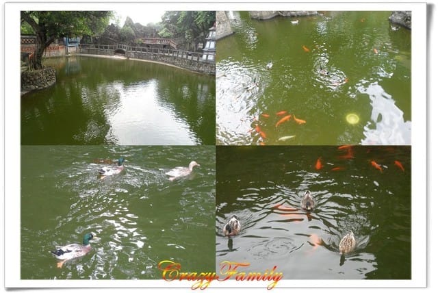 ├ 媽寶趴趴走 ┤【新北板橋】林本源園邸 - 第19張圖 ├ 媽寶趴趴走 ┤【新北板橋】林本源園邸