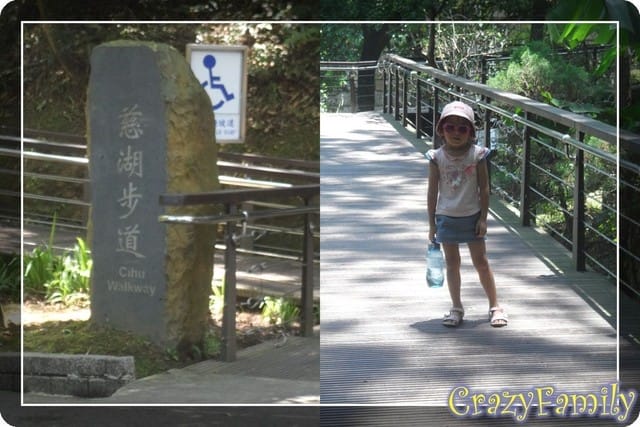 ├ 家族避暑趣 ┤大溪慈湖
