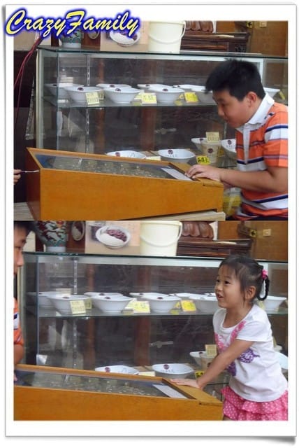 ├ 家族美食行 ┤吃吃喝喝美食行