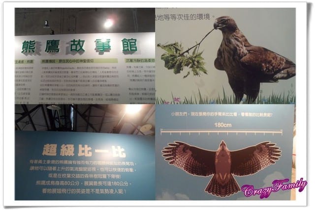 ├ 媽寶藝文賞 ┤六福村野生動物大遷移 - 第47張圖 ├ 媽寶藝文賞 ┤六福村野生動物大遷移