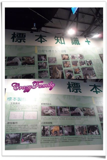 ├ 媽寶藝文賞 ┤六福村野生動物大遷移 - 第46張圖 ├ 媽寶藝文賞 ┤六福村野生動物大遷移