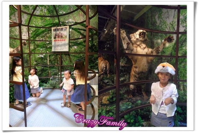 ├ 媽寶藝文賞 ┤六福村野生動物大遷移 - 第36張圖 ├ 媽寶藝文賞 ┤六福村野生動物大遷移