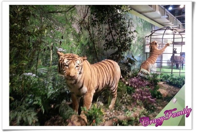 ├ 媽寶藝文賞 ┤六福村野生動物大遷移 - 第24張圖 ├ 媽寶藝文賞 ┤六福村野生動物大遷移