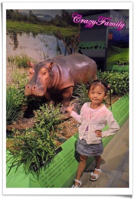 ├ 媽寶藝文賞 ┤六福村野生動物大遷移 - 第25張圖 ├ 媽寶藝文賞 ┤六福村野生動物大遷移