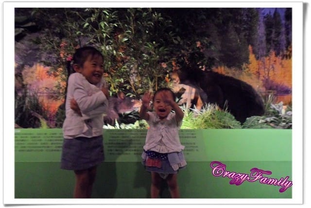 ├ 媽寶藝文賞 ┤六福村野生動物大遷移 - 第12張圖 ├ 媽寶藝文賞 ┤六福村野生動物大遷移