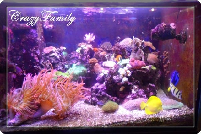 ❧親子推薦❧【花蓮】柴魚博物館
