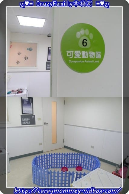 ├ 牛寶學習趣 ┤亞洲寵物博物館之全國動物醫院 - 第56張圖 ├ 牛寶學習趣 ┤亞洲寵物博物館之全國動物醫院