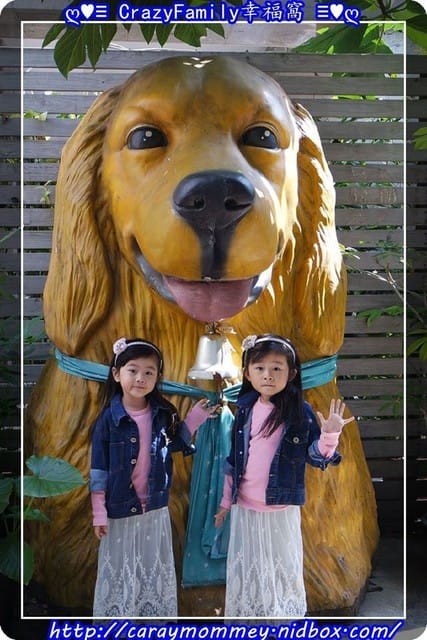 ├ 牛寶學習趣 ┤亞洲寵物博物館之全國動物醫院 - 第5張圖 ├ 牛寶學習趣 ┤亞洲寵物博物館之全國動物醫院