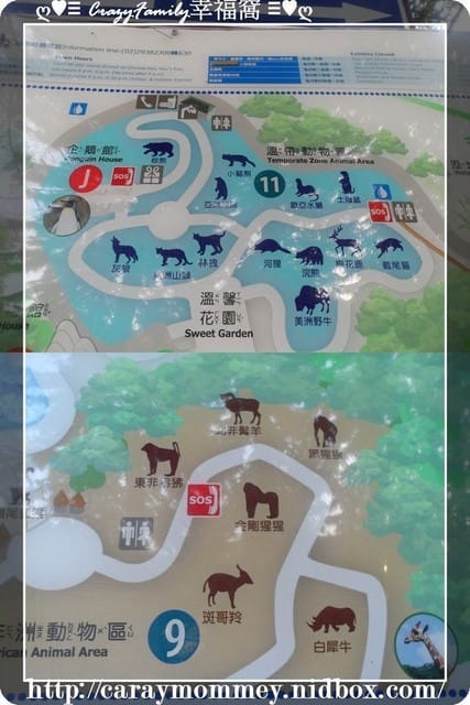 XeNia歡慶6歲生日