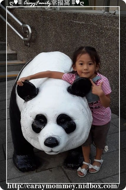 XeNia歡慶6歲生日