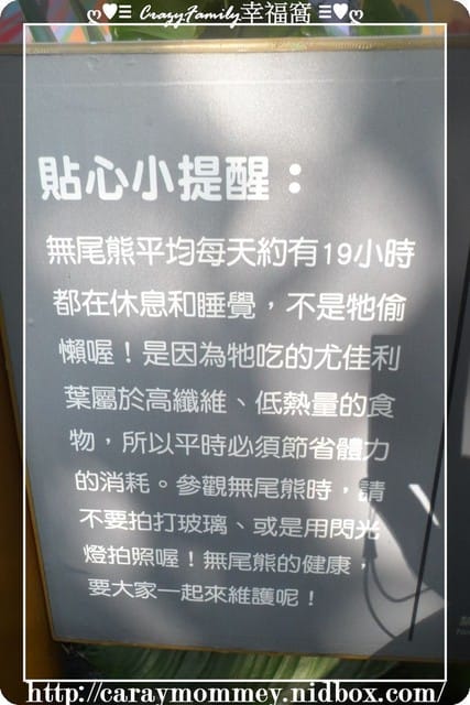 XeNia歡慶6歲生日