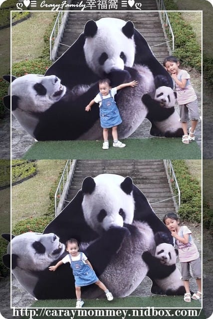 XeNia歡慶6歲生日