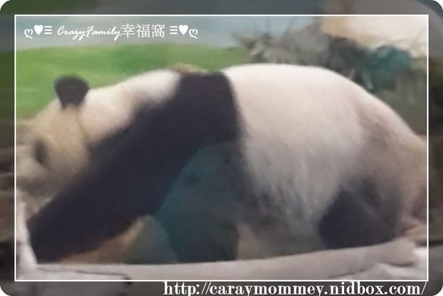 XeNia歡慶6歲生日