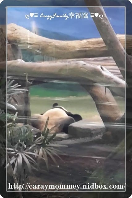 XeNia歡慶6歲生日