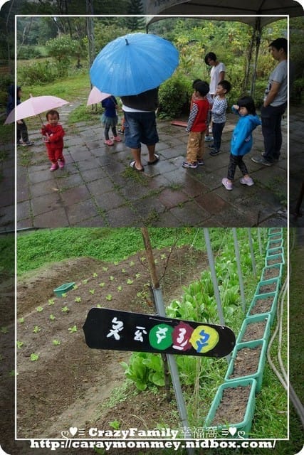 ├ 牛寶生日趴 ┤牛寶歡慶五歲生日趴之自然科學教室 - 第7張圖 ├ 牛寶生日趴 ┤牛寶歡慶五歲生日趴之自然科學教室