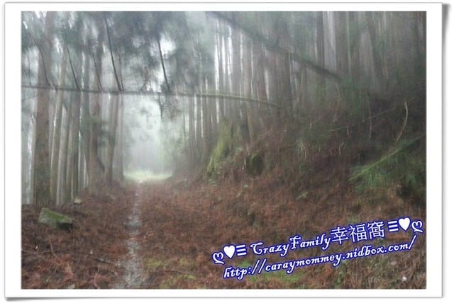 婚姻的動力~互相支持力挺 - 第3張圖 婚姻的動力~互相支持力挺