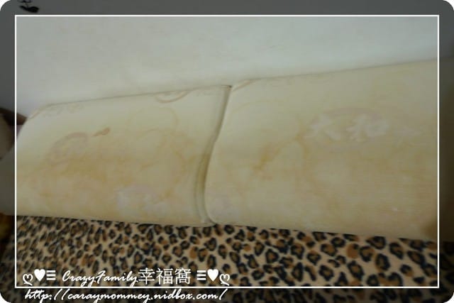 § 試用體驗 § 媲美飯店的好睡眠之雷伏蟎Nevermite防蟎枕心