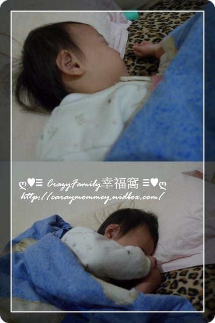 § 試用體驗 § 媲美飯店的好睡眠之雷伏蟎Nevermite防蟎枕心