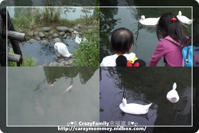 ├ 親子趴趴走 ┤2014泰迪熊台中樂活嘉年華之秋紅谷 - 第22張圖 ├ 親子趴趴走 ┤2014泰迪熊台中樂活嘉年華之秋紅谷