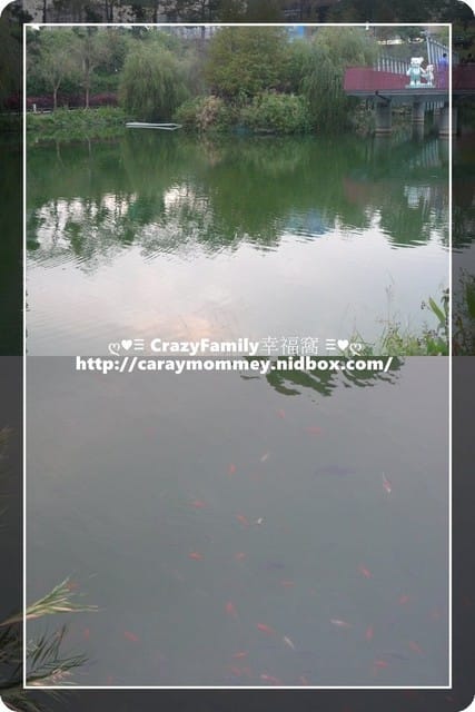 ├ 親子趴趴走 ┤2014泰迪熊台中樂活嘉年華之秋紅谷 - 第3張圖 ├ 親子趴趴走 ┤2014泰迪熊台中樂活嘉年華之秋紅谷