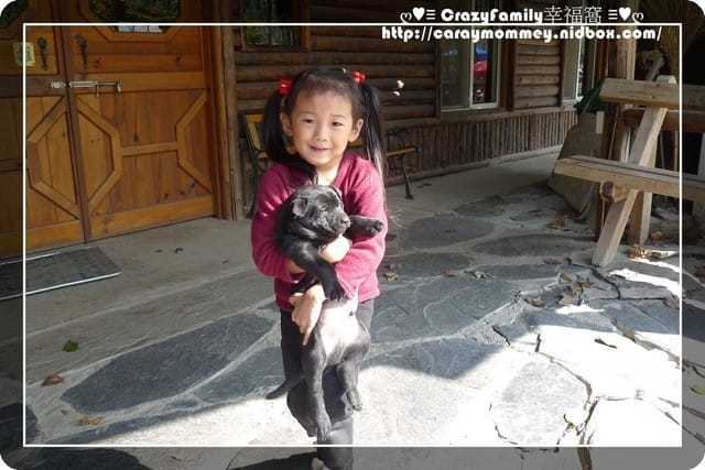 ღ♥♡ CrazyFamily度假去 ♡♥ღ迎接嶄新的2015年
