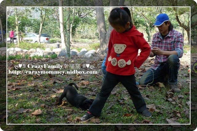 ღ♥♡ CrazyFamily度假去 ♡♥ღ 又見梅花盛開時 - 第8張圖 ღ♥♡ CrazyFamily度假去 ♡♥ღ 又見梅花盛開時