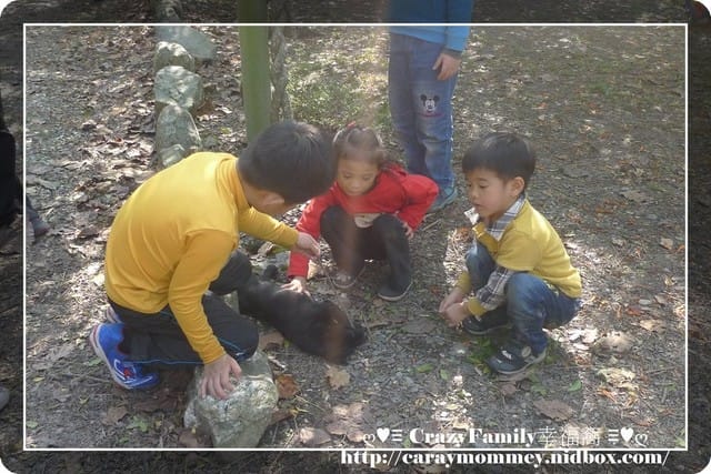 ღ♥♡ CrazyFamily度假去 ♡♥ღ 又見梅花盛開時 - 第9張圖 ღ♥♡ CrazyFamily度假去 ♡♥ღ 又見梅花盛開時