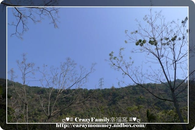 ღ♥♡ CrazyFamily度假去 ♡♥ღ 又見梅花盛開時 - 第11張圖 ღ♥♡ CrazyFamily度假去 ♡♥ღ 又見梅花盛開時