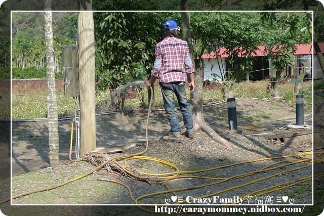 ღ♥♡ CrazyFamily度假去 ♡♥ღ 又見梅花盛開時 - 第3張圖 ღ♥♡ CrazyFamily度假去 ♡♥ღ 又見梅花盛開時