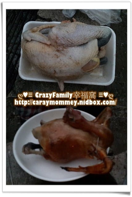 ├ 家族度假去 ┤年節天時遊