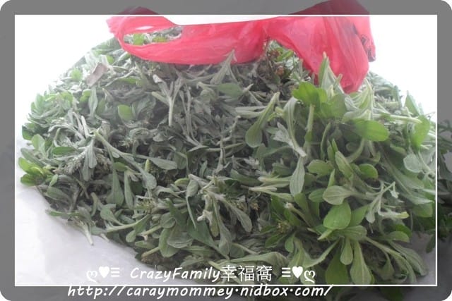 ├ 家族度假去 ┤孫海橋舊址 - 第4張圖 ├ 家族度假去 ┤孫海橋舊址