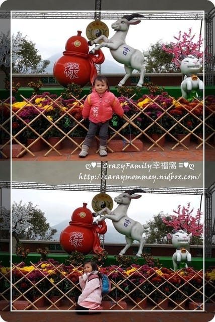 ├ 媽寶求好運 ┤淡水福佑宮慶元宵博杯祈福賽