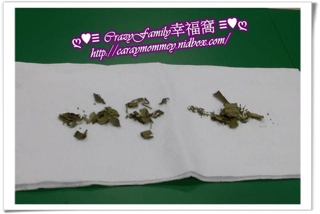 ├ 牛寶體驗趣 ┤GoIng純漢方量身茶飲 - 第10張圖 ├ 牛寶體驗趣 ┤GoIng純漢方量身茶飲