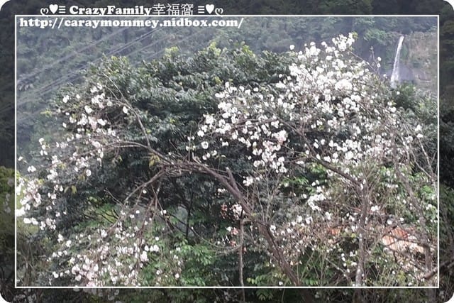 ├ 家庭趴趴走 ┤基隆+烏來半日遊 - 第3張圖 ├ 家庭趴趴走 ┤基隆+烏來半日遊