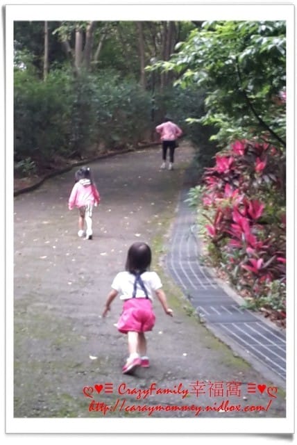 ├ 家族相聚日 ┤奶奶生日+公園賞桐花