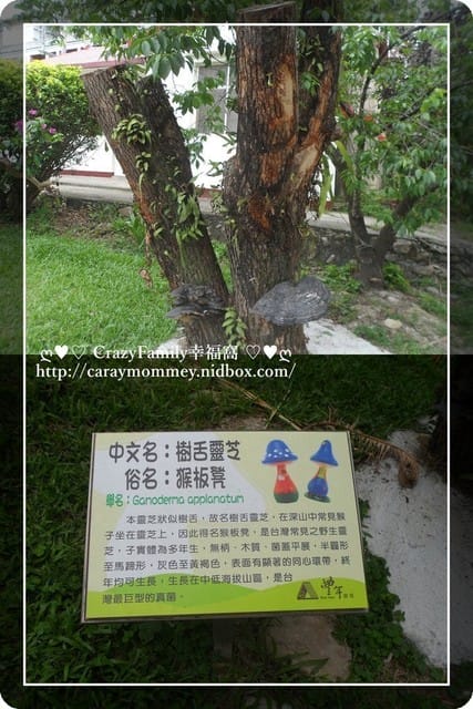 ├ 家庭趴趴走 ┤【南投】豐年生態農場 - 第3張圖 ├ 家庭趴趴走 ┤【南投】豐年生態農場
