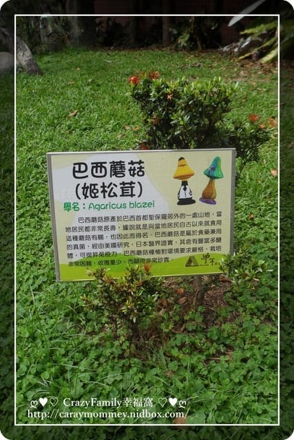├ 家庭趴趴走 ┤【南投】豐年生態農場 - 第4張圖 ├ 家庭趴趴走 ┤【南投】豐年生態農場