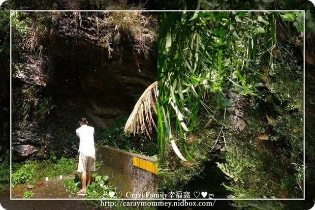 ├ 家庭度假去 ┤悠活的早晨