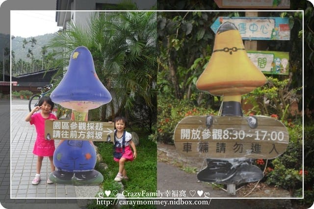 ├ 家庭趴趴走 ┤【南投】豐年生態農場 - 第2張圖 ├ 家庭趴趴走 ┤【南投】豐年生態農場