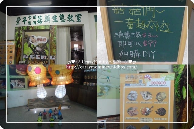 ├ 家庭趴趴走 ┤【南投】豐年生態農場 - 第10張圖 ├ 家庭趴趴走 ┤【南投】豐年生態農場