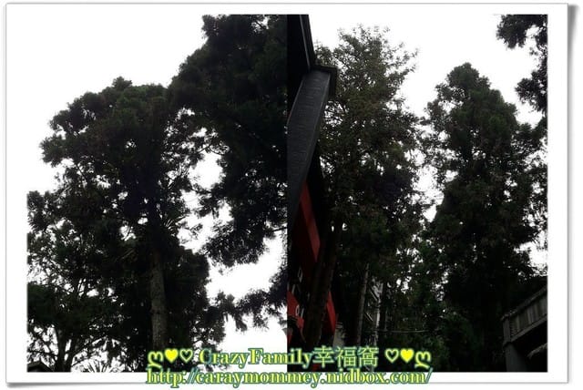 ├ 家庭趴趴走 ┤【南投】溪頭妖怪村