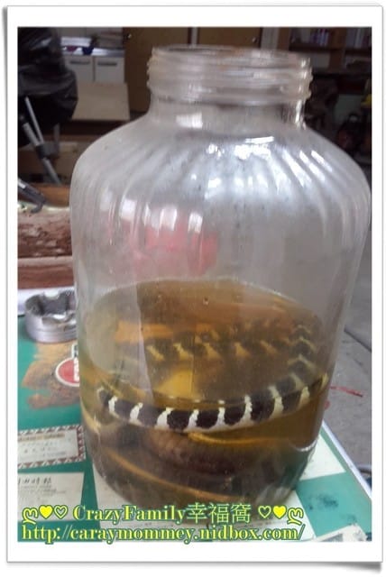 ├ 家庭度假去 ┤大自然的美好