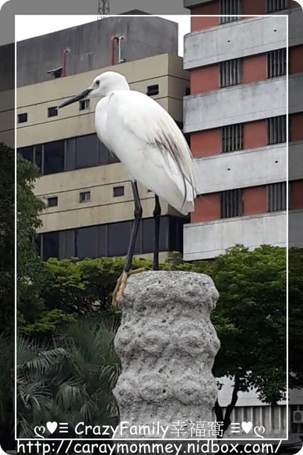├ 媽寶公園遊 ┤228和平公園生態遊