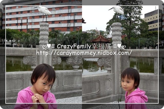 ├ 媽寶公園遊 ┤228和平公園生態遊