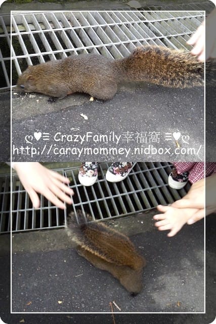 ├ 媽寶公園遊 ┤228和平公園生態遊