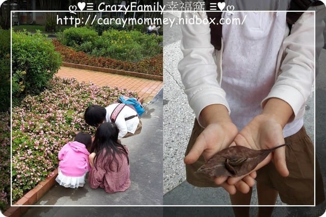 ├ 媽寶公園遊 ┤228和平公園生態遊