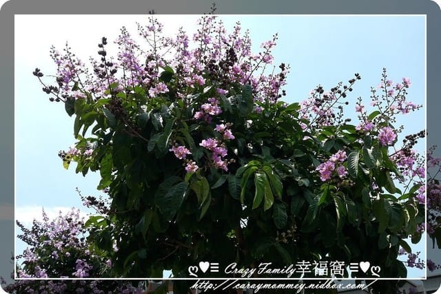 ♥♡ 親子餐廳饗樂趣 ♡♥ 【台中】超寬廣又舒適平價之嘎嗶惦親子餐廳 - 第23張圖 ♥♡ 親子餐廳饗樂趣 ♡♥ 【台中】超寬廣又舒適平價之嘎嗶惦親子餐廳