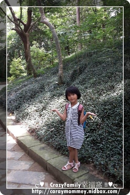 《台中》親子趴趴走無料行程之避暑的好去處【植物園】 - 第8張圖 《台中》親子趴趴走無料行程之避暑的好去處【植物園】